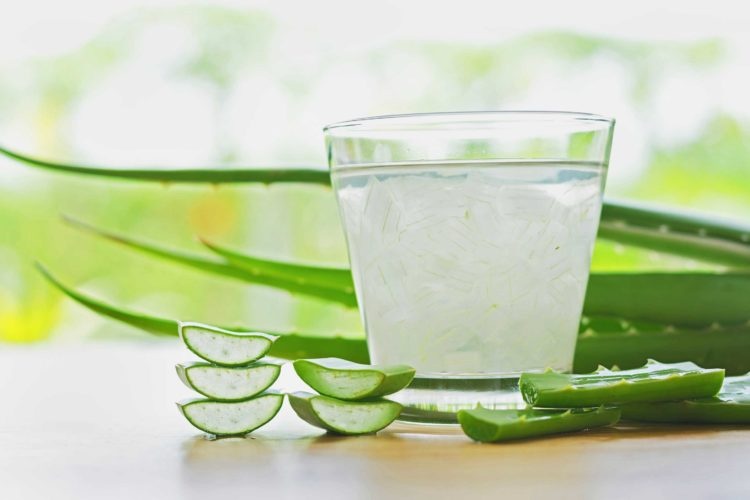 Aloe vera, an effective aid against fat